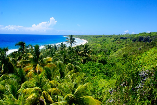 Free Land on a Tropical Island 1