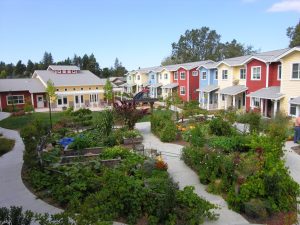 petaluma-ave-homes-cohousing