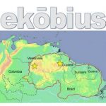 Ekobius International by Ecology Crossroads