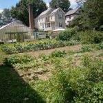 Enright Ridge Urban Eco-village