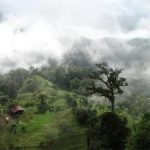 Serenity Gardens Eco Village