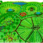 The Garden of Eden Project