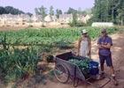 East Lake Commons CoHousing