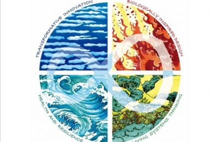 Designing Regenerative Cultures