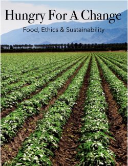 Emergency stop наклейка. (food for the hungry. Цветок здорового питания. Food for change. Food for change.