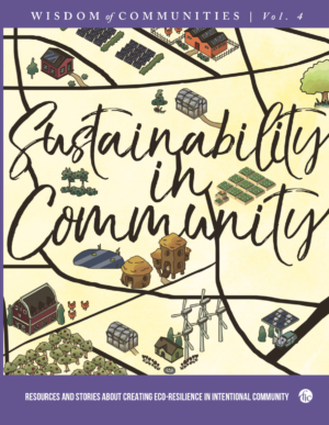 Wisdom of Communities: Volume 4 - Sustainability in Community