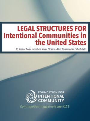 Legal Structures for IC's in the US (Ebook)