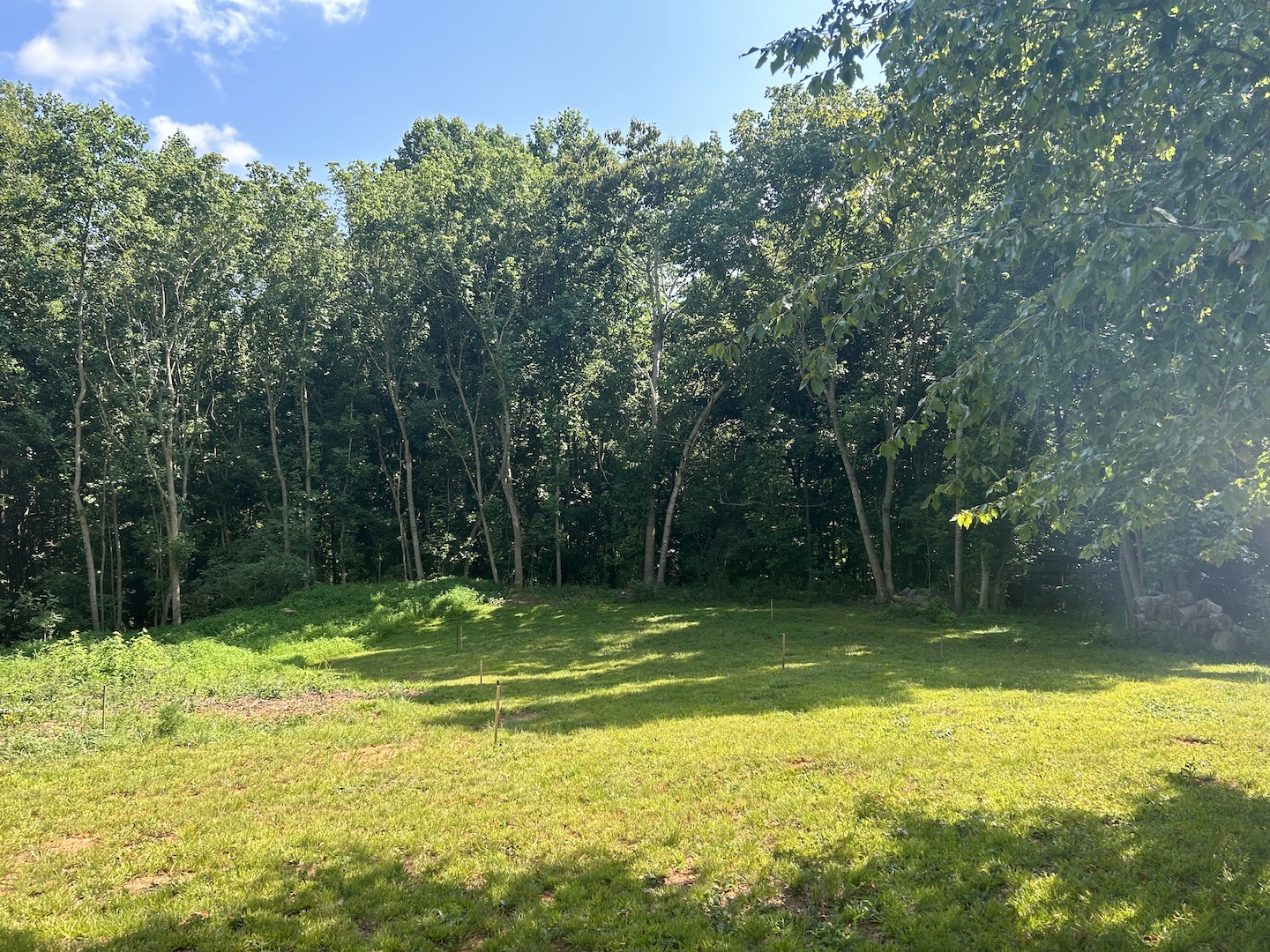 Readytobuild lot for sale in diverse ecovillage, Central NC