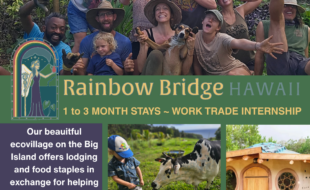 Check out our website for more details:
www.rainbowbridgehawaii.com
