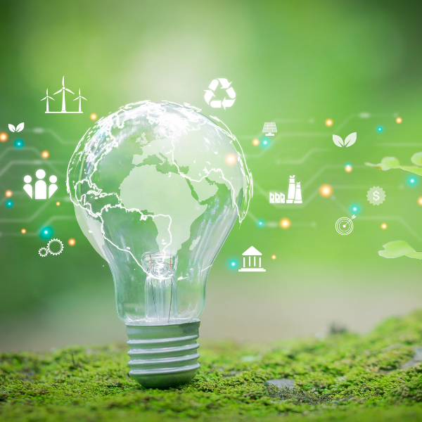 Designing a Cooperative Business for People and Planet Course