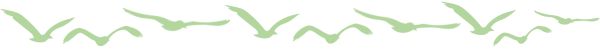 Foundation for Intentional Community logo with community symbols.