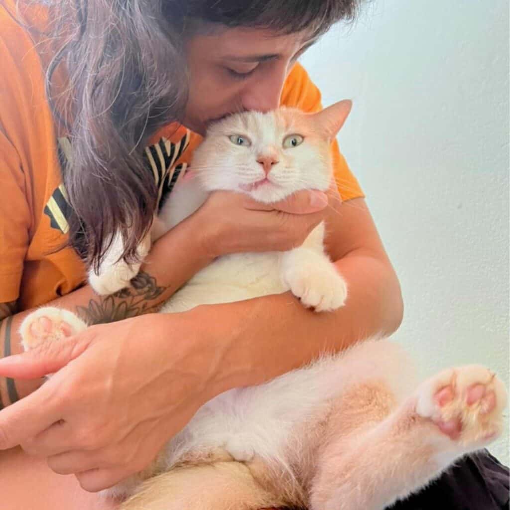 Person holding a fluffy white and orange cat close to their face.
