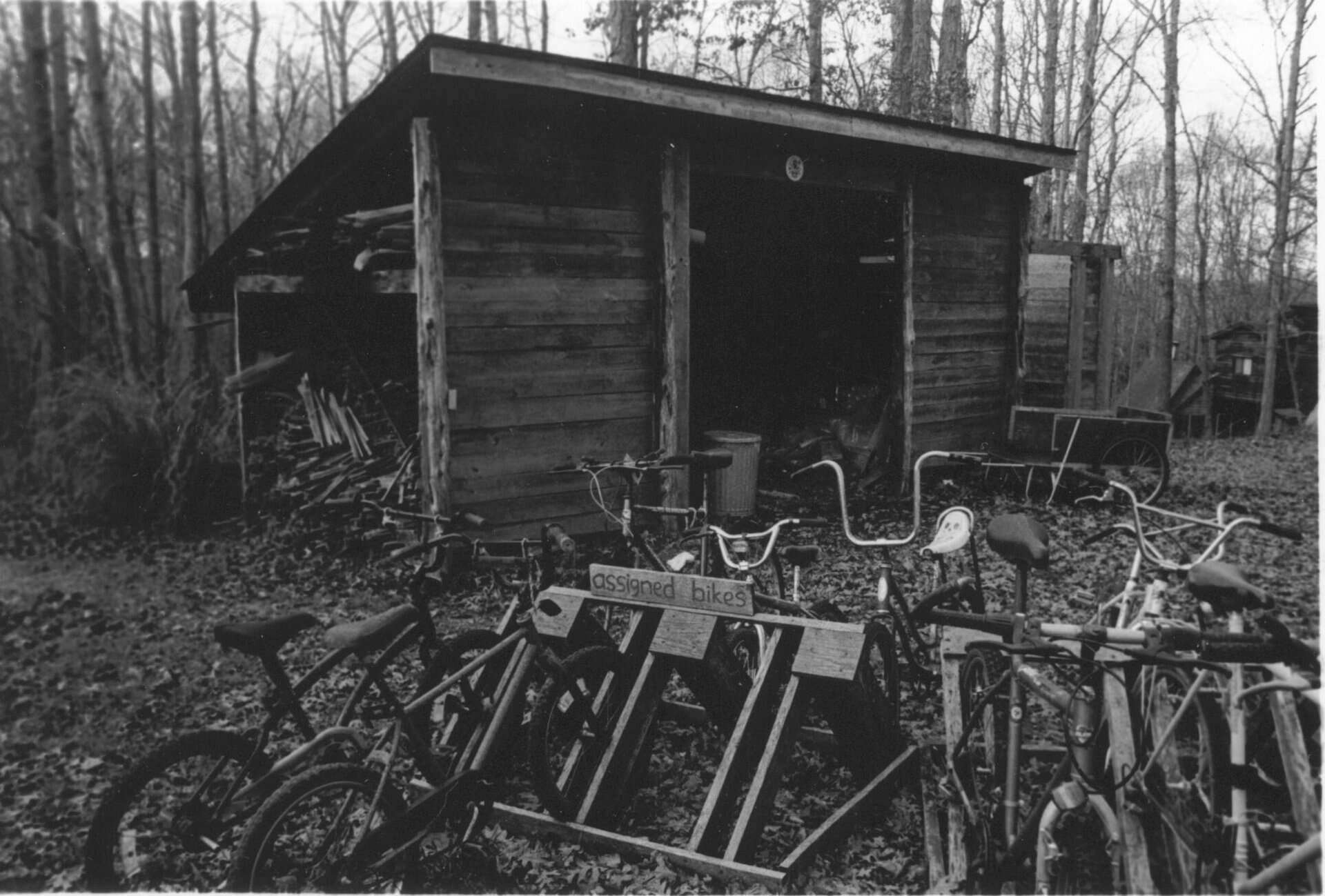 Bicycles parked in front of a rustic wooden shed in a wooded area.