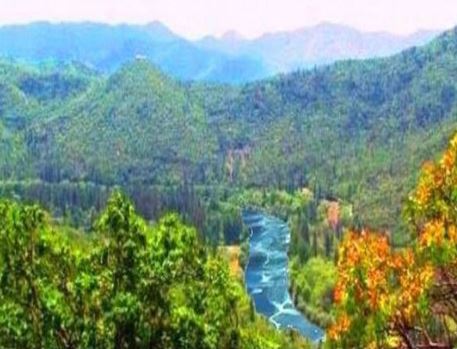 Scenic view of lush green mountains and a river in a natural landscape.