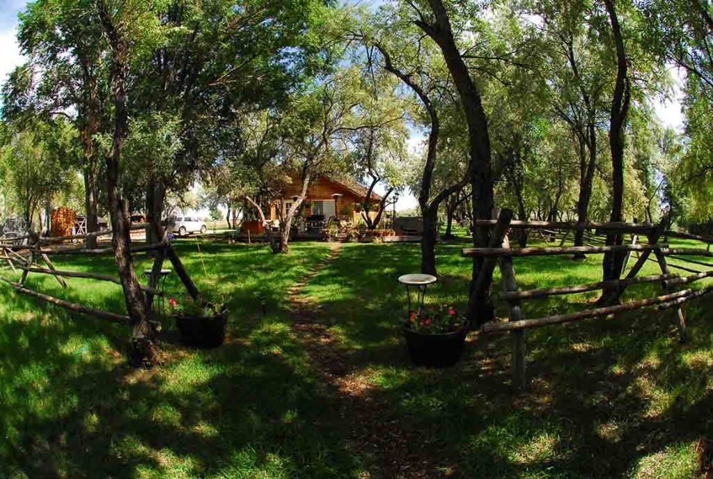 Lush green garden with trees and wooden fence at Oasis Gardens & Learning Center.
