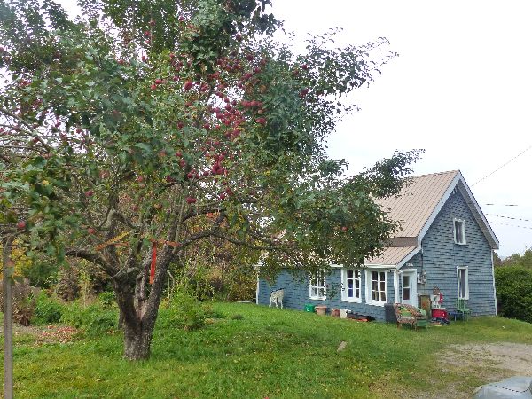 Charming blue house with garden and trees in a rural setting.