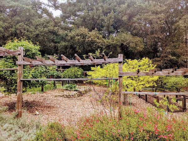 Wooden outdoor structure with trees and plants in the background.