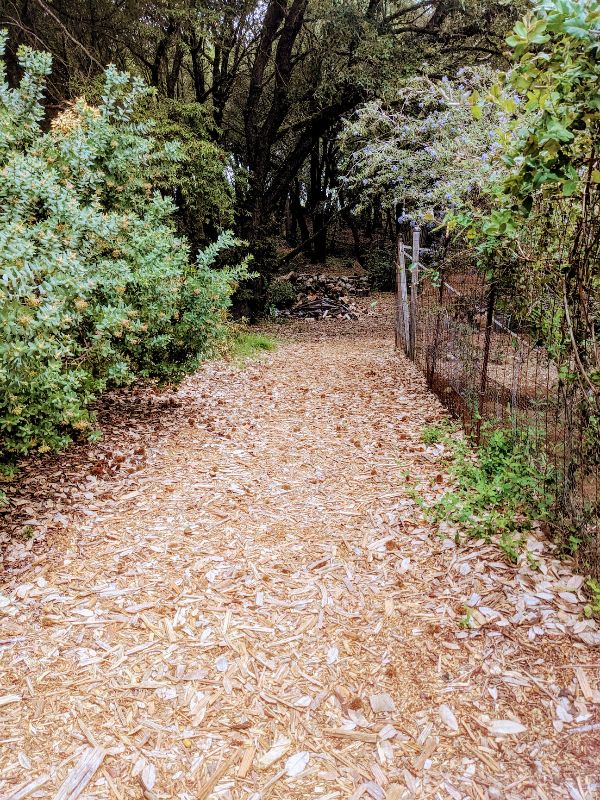 Wood chip trail through a lush green forest at Starlit Mountain.
