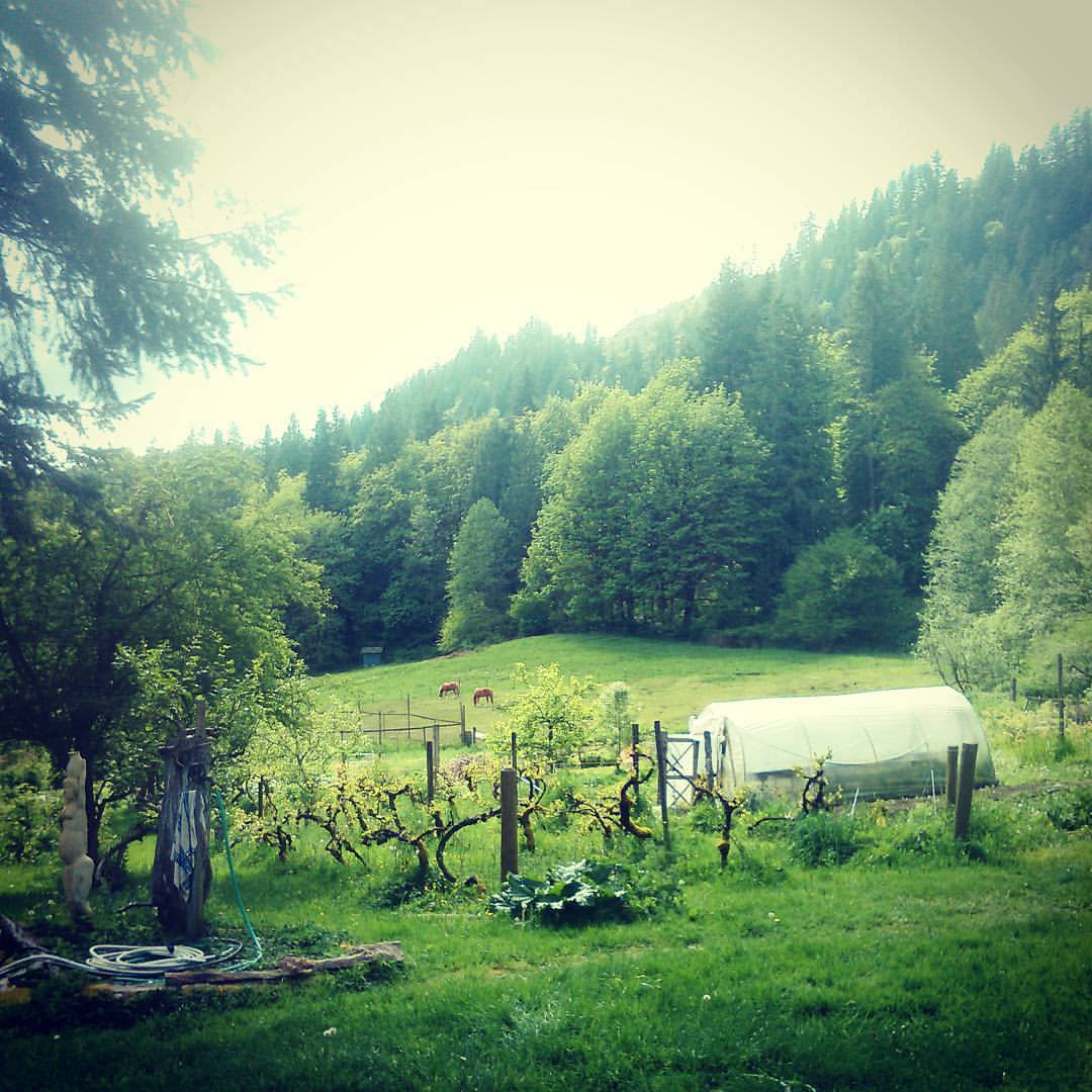 Scenic view of lush green farm with trees, horses, and a greenhouse in a valley.