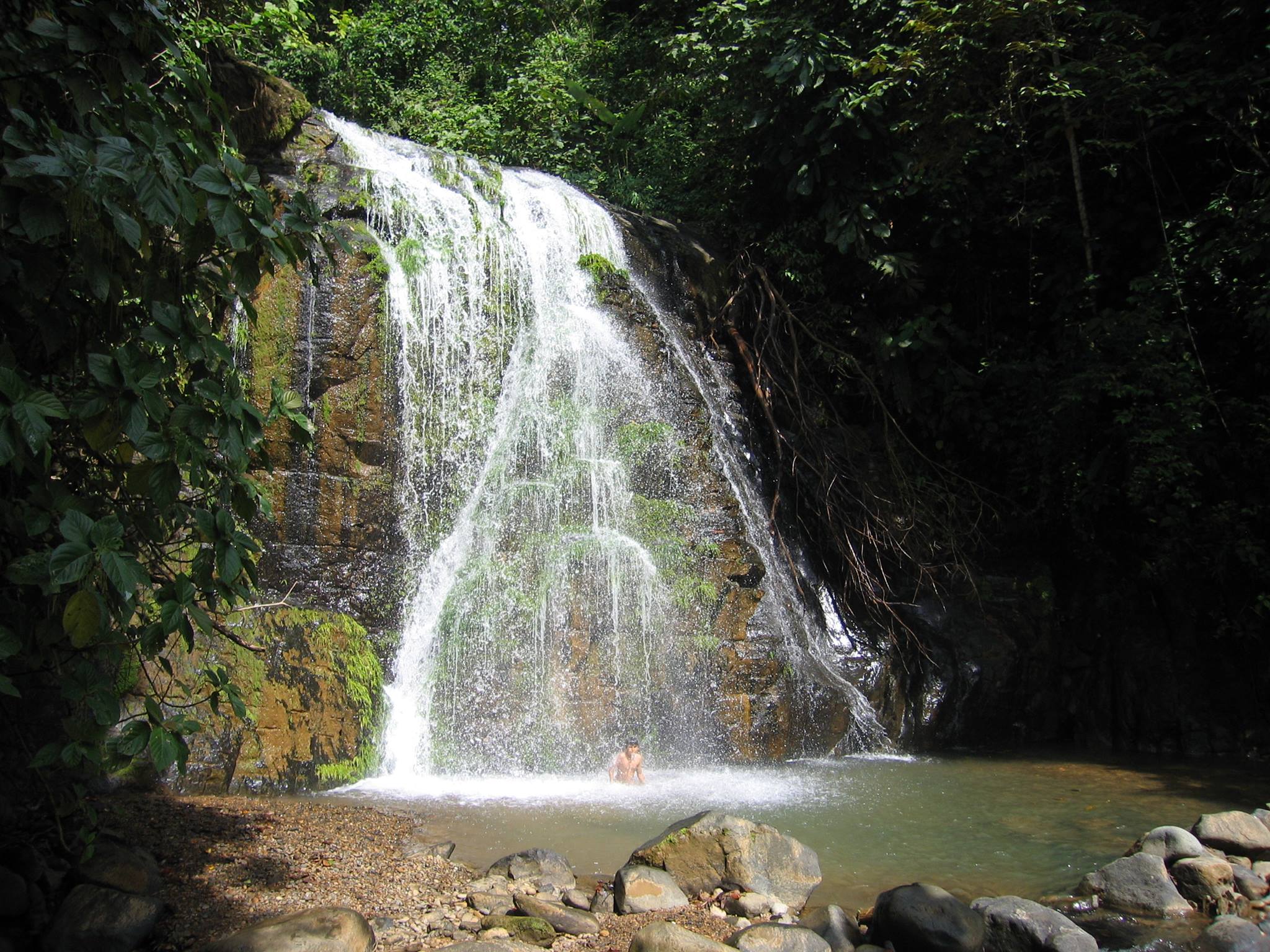 Waterfall in a lush forest with a person swimming in the pool below.