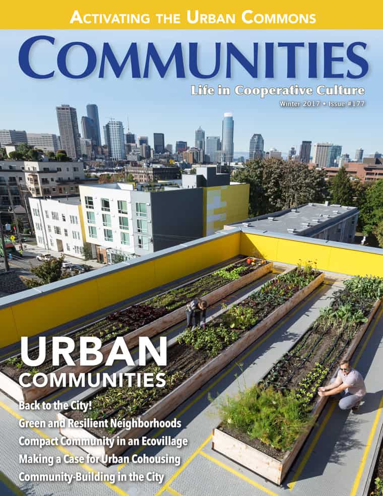 Urban community rooftop garden with city skyline in background.