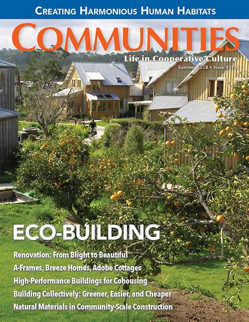 Community garden with eco-friendly homes and lush greenery for sustainable living.