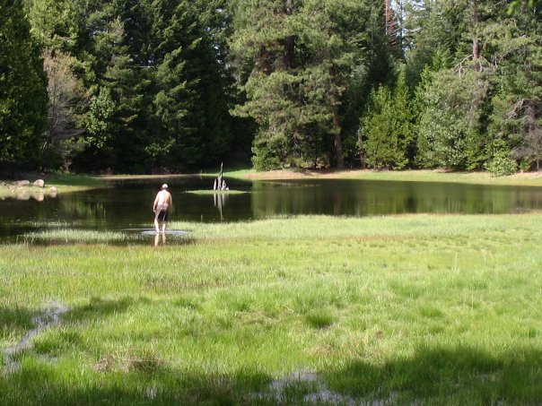 Person standing by a pond in a lush green forest setting.
