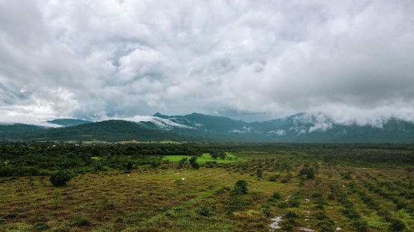 Scenic view of lush green fields and distant mountains under cloudy sky.