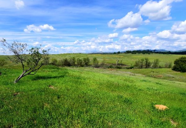 Scenic landscape with green fields, trees, and blue sky with clouds.