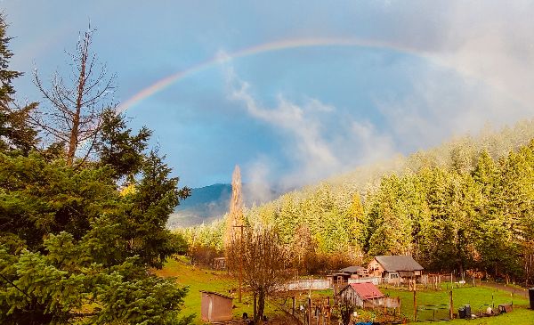 Scenic landscape with rainbow over a rural community and lush green trees.