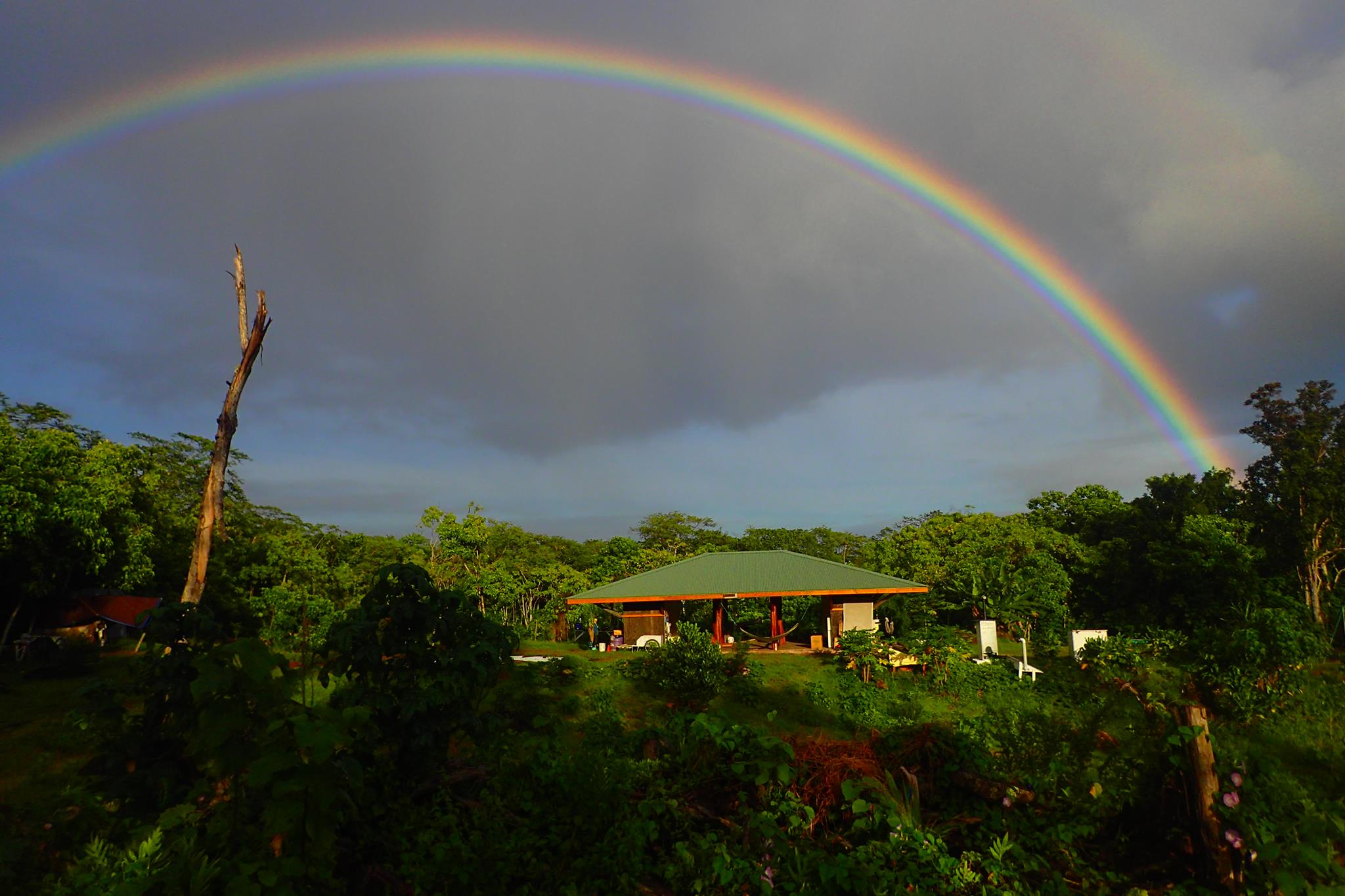 Rainbow over lush green landscape with a building and cloudy sky.