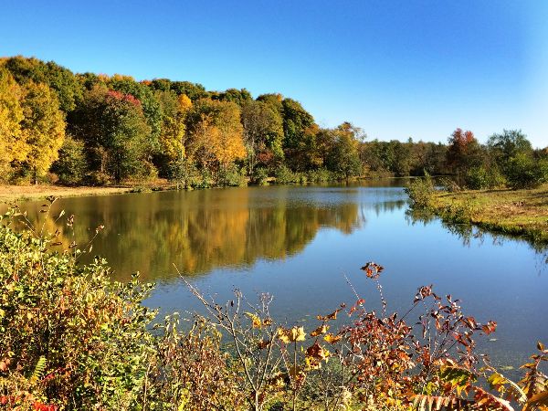 Scenic view of Twin Ponds with autumn foliage and clear blue sky.