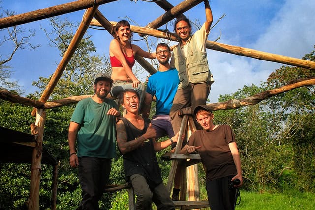 Group of diverse people building a wooden structure outdoors for community living.