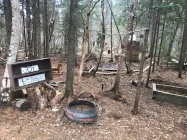Rustic outdoor scene with handmade signs and natural materials in a wooded area.