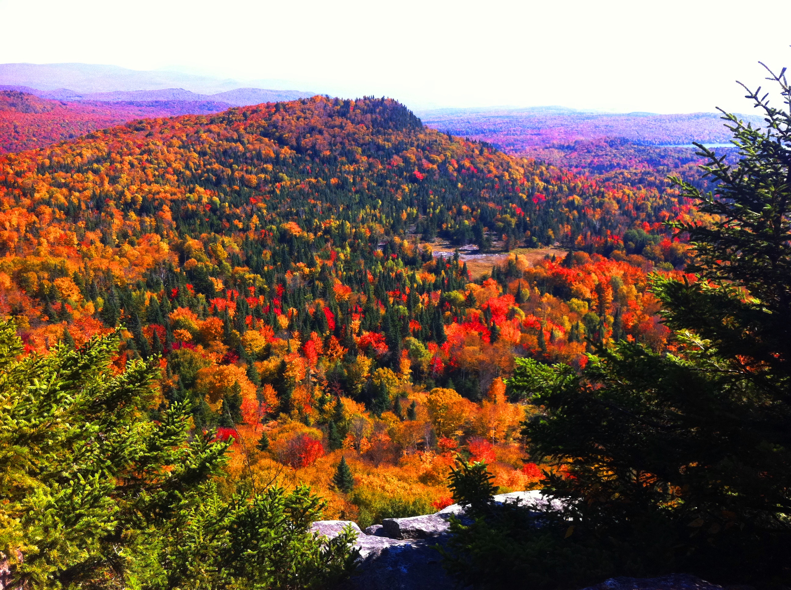 Autumn landscape with colorful fall foliage in a forested mountain area.
