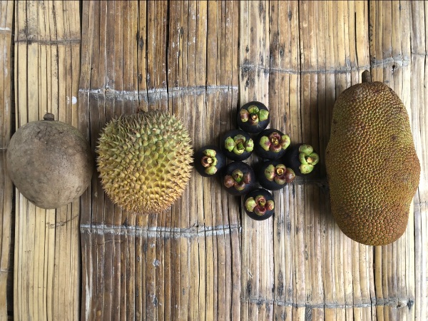 Exotic tropical fruits on bamboo mat, including durian, jackfruit, and others.