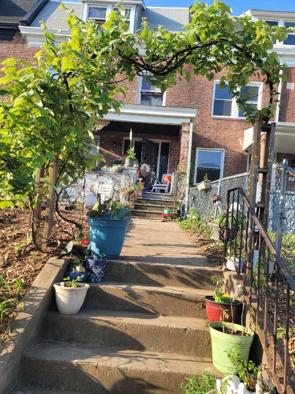 Community garden with potted plants and a vine-covered archway in front of a brick house.