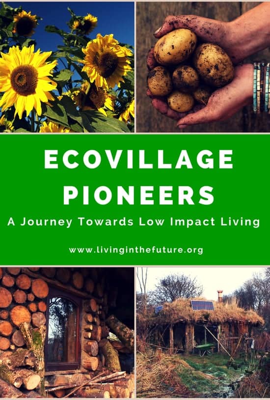 Sunflowers, potatoes, eco-village, sustainable living, low impact lifestyle.