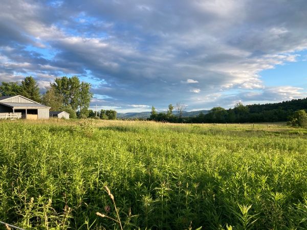 Scenic view of green fields and a barn under a partly cloudy sky.