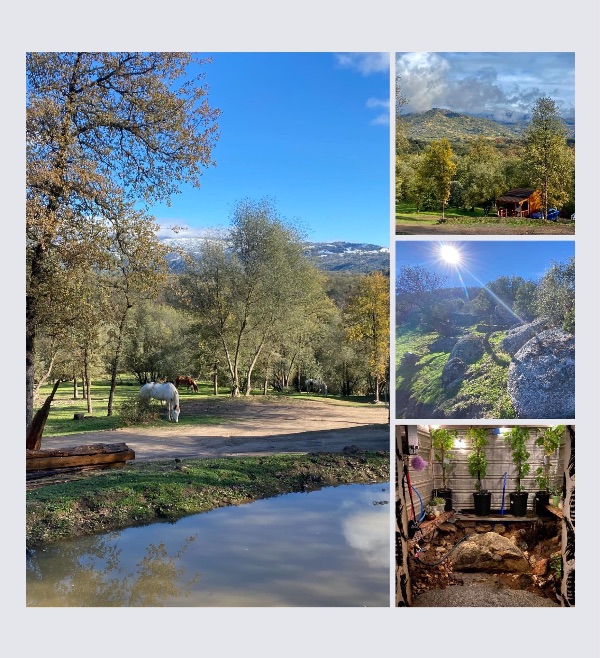 Scenic view of Camp Ikigai Animal Sanctuary with trees, mountains, and animals.
