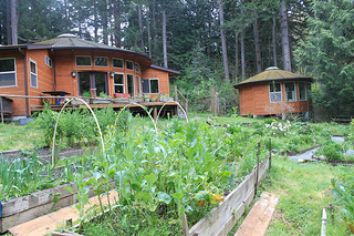 Community garden with wooden houses in a forested area on Bainbridge Island.