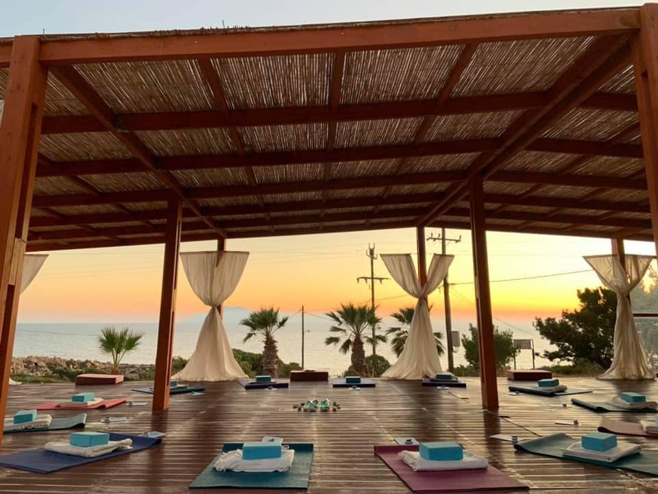 Beachside yoga deck with sunset, palm trees, and lounge chairs at Foundation for Intentional Comun.