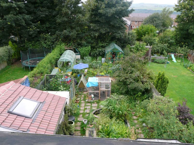 Lush community garden with greenhouses, trees, and vegetable patches.