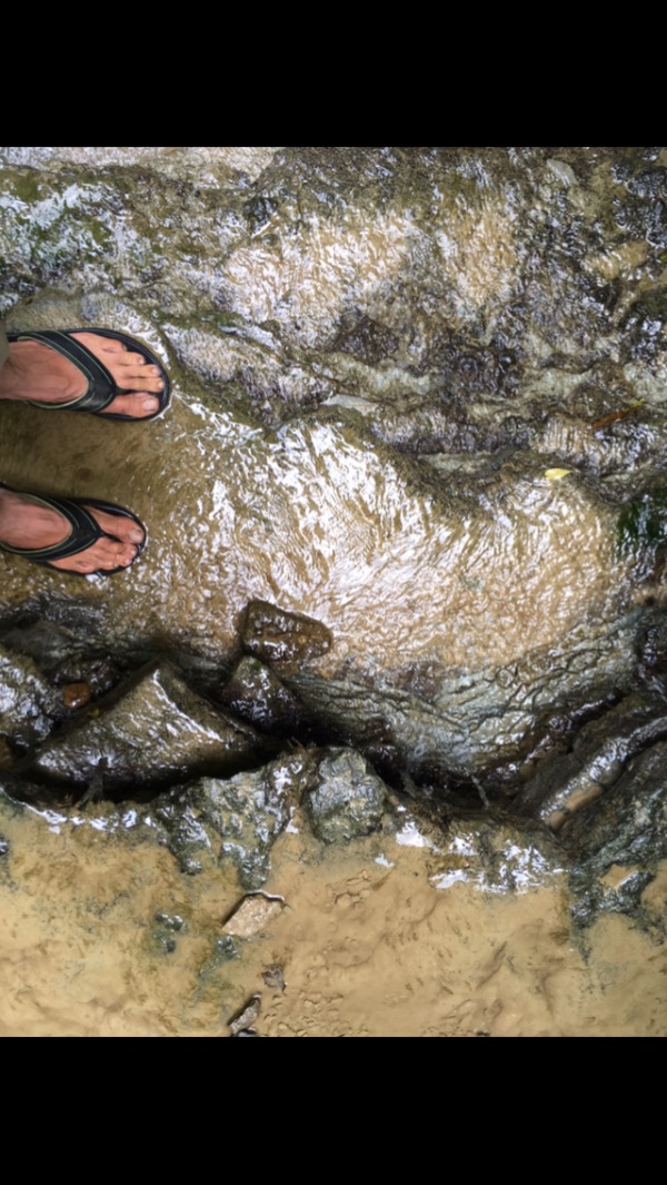 Person standing on wet rocks near a stream at the Foundation for Intentional Community.