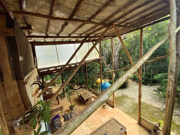Rustic outdoor shelter with wooden beams and lush greenery in the background.