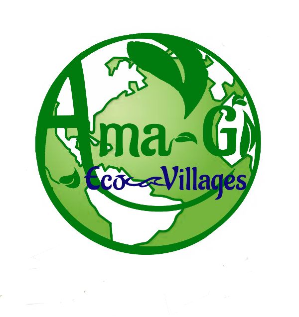 Foundation for Intentional Community eco-villages logo with green globe and leaf design.