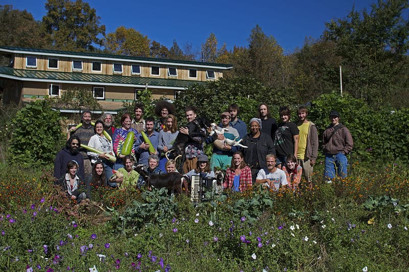 Group of diverse people in a community garden with a building in the background.