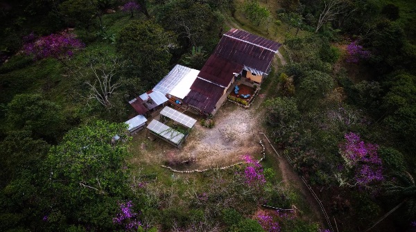 Aerial view of a sustainable community with eco-friendly buildings surrounded by lush greenery.