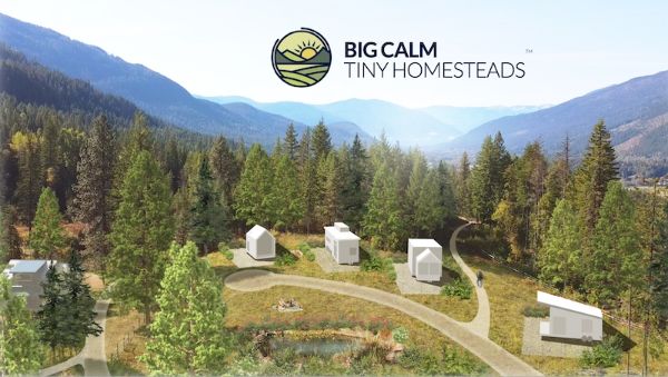 Tiny homesteads in a forested mountain setting with Big Calm logo.