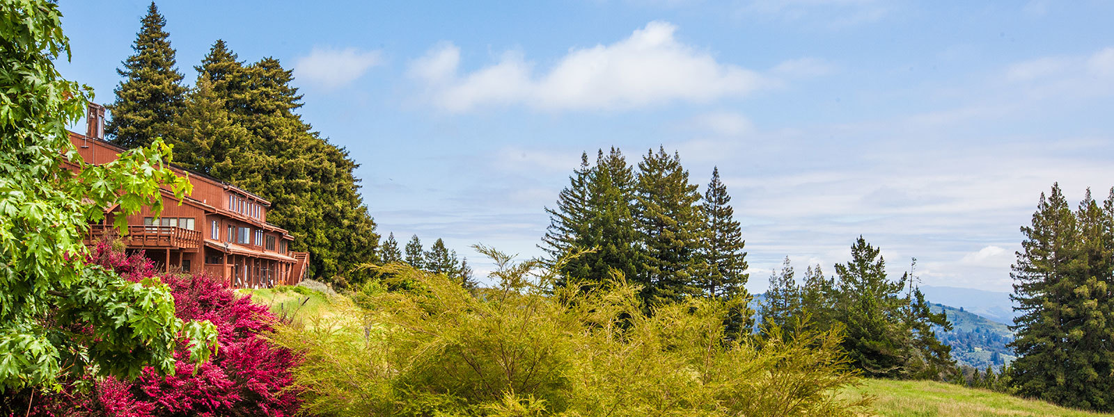 Scenic view of Mount Madonna Center with lush greenery and forested hills.